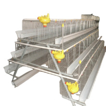 chicken cage /layer cage hot galvanized 20 years lifetime chicken battery cage with Auto water system